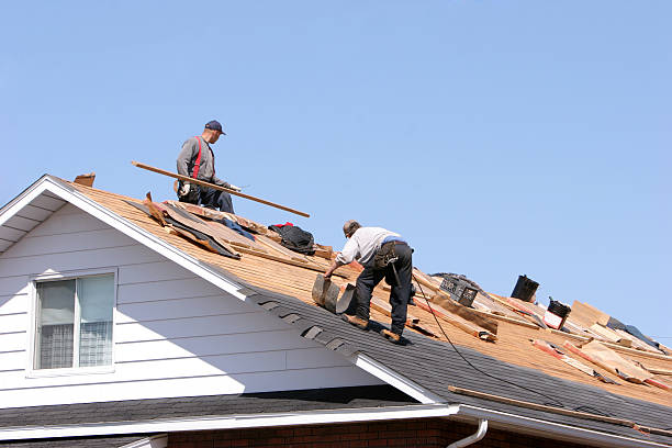 Fast & Reliable Emergency Roof Repairs in Fruitland, MD